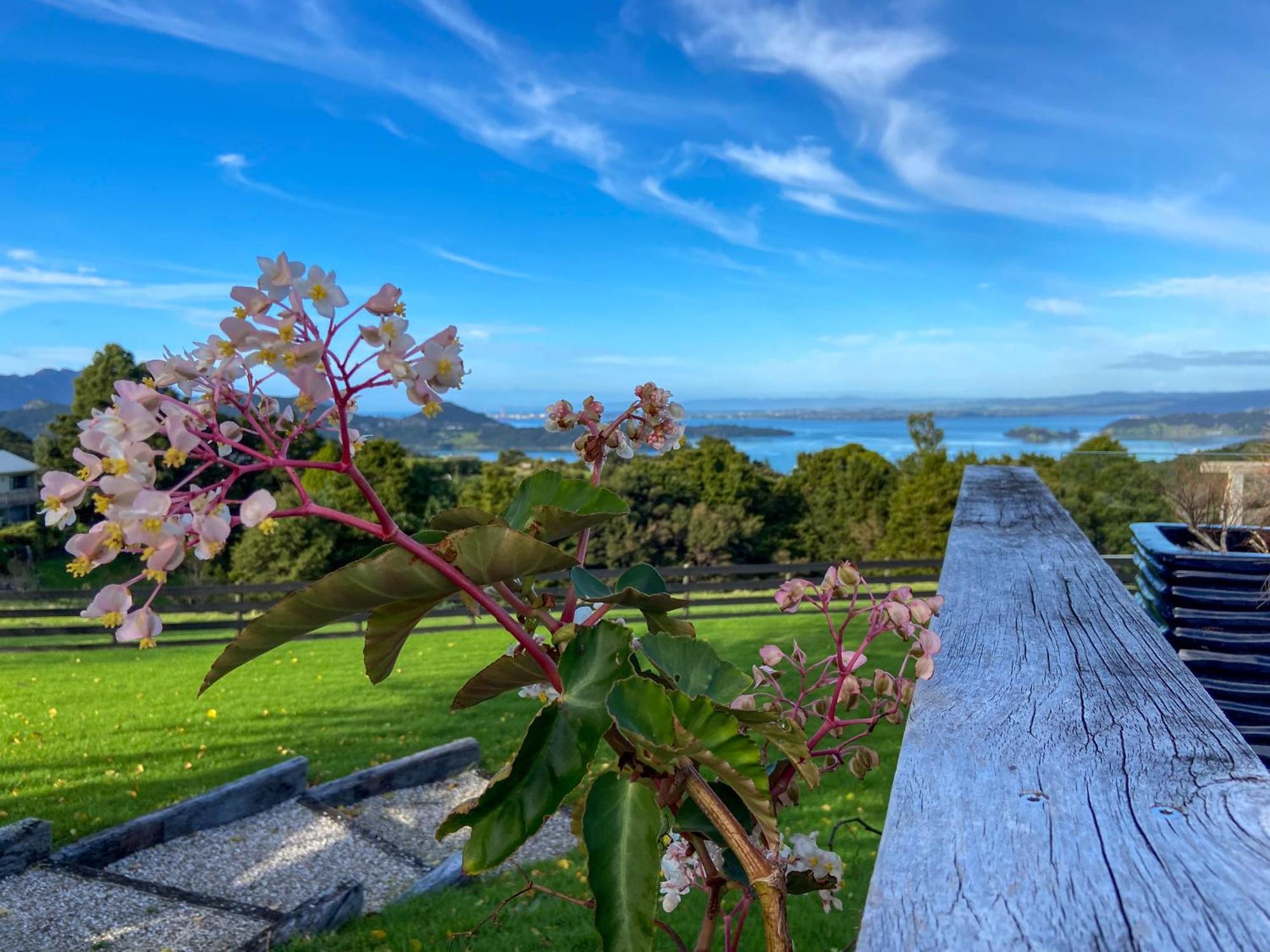 Kauri Villas Parua Bay Exterior foto